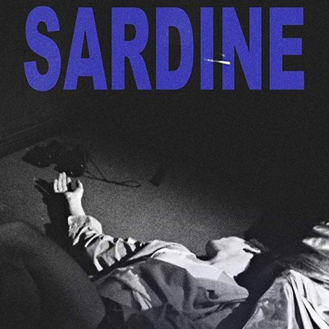 Sardine