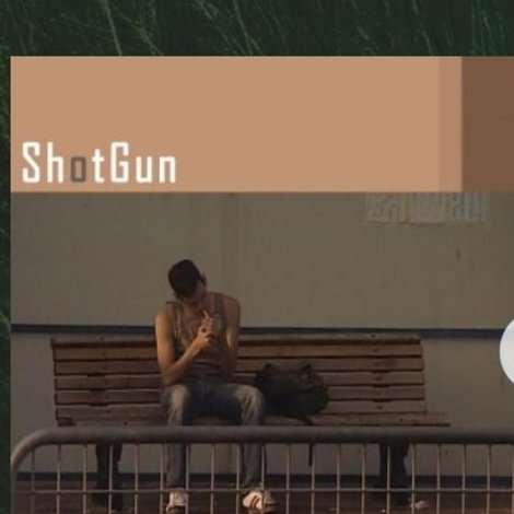 Shotgun