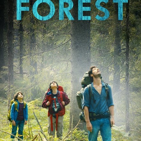 Dans la forêt