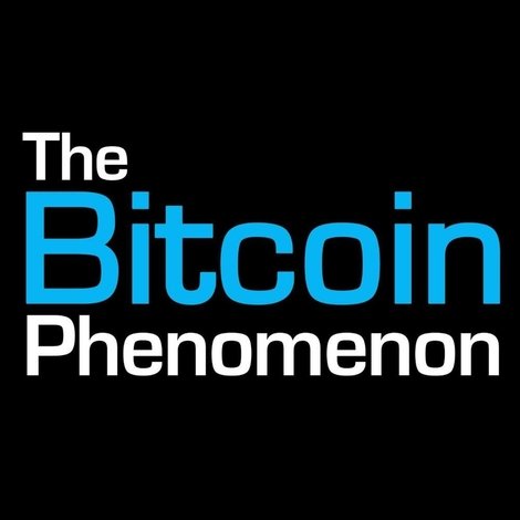 The Bitcoin Phenomenon