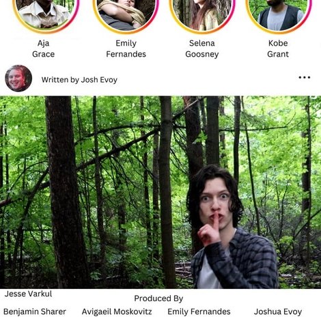 Influencers