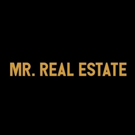 Mr. Real Estate