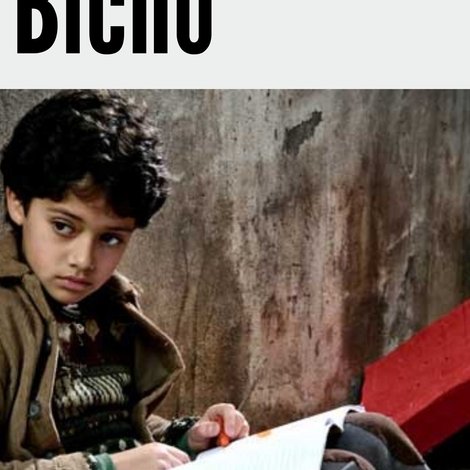 Bicho