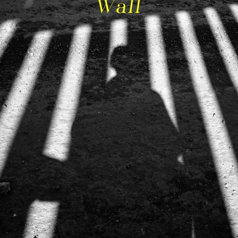 Under the Shadow of the Wall