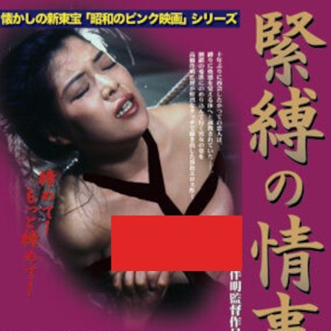 緊縛の情事