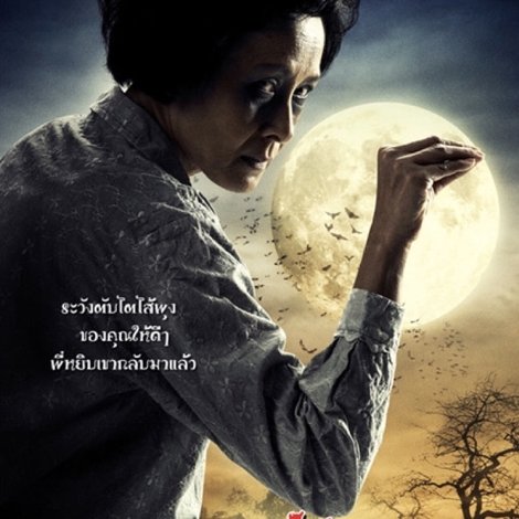 บ้านผีปอบ 2008