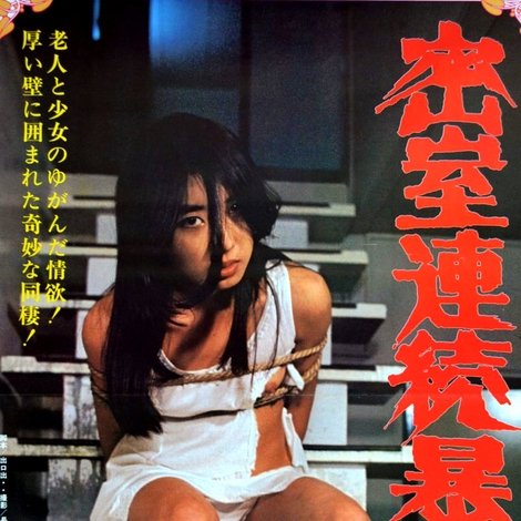 密室連続暴行