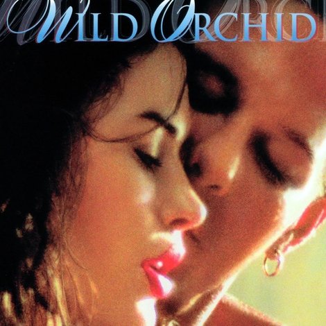 Wild Orchid