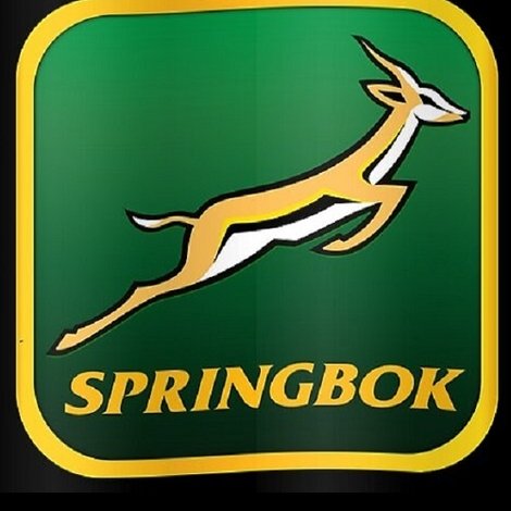 Springbok