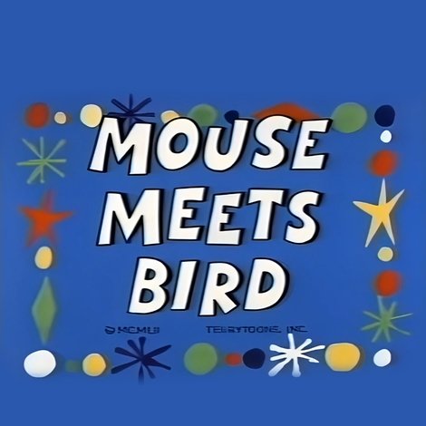Mouse Meets Bird