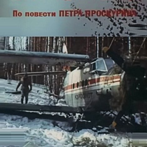 Тайга