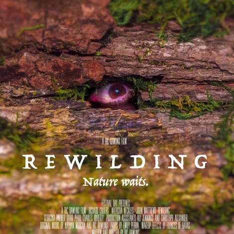 Rewilding
