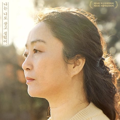 바람의 언덕