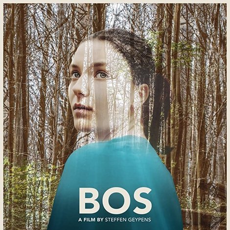 Bos