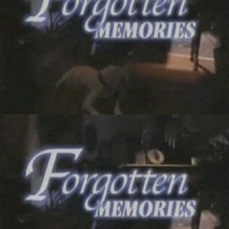 Forgotten Memories