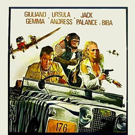 Safari Express
