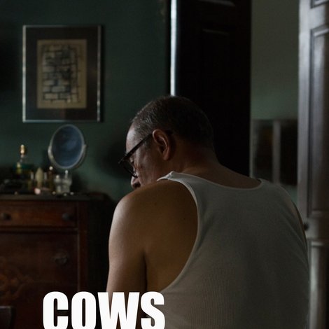 Las vacas con gafas