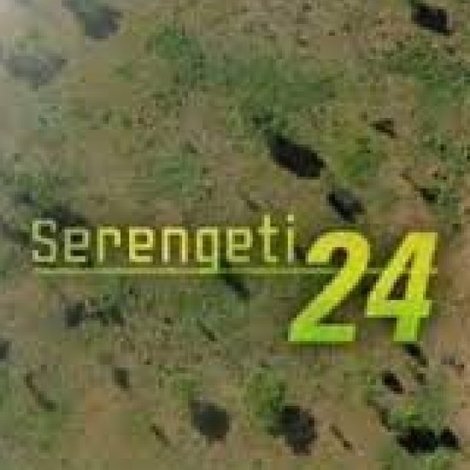 Serengeti 24