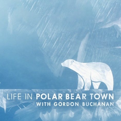 Life in Polar Bear Town with Gordon Buchanan