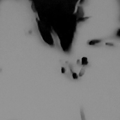 Witches Walk Monochrome