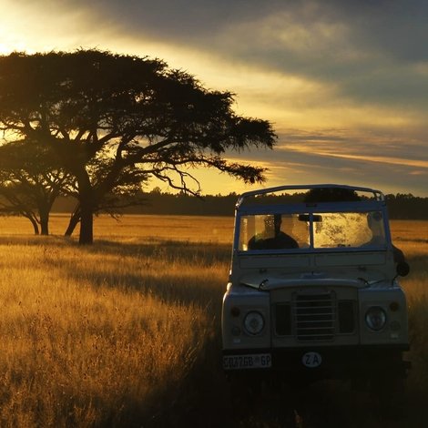 The Serengeti Rules