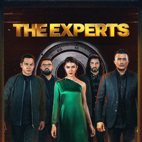The Experts