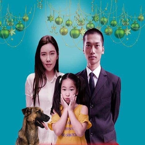 萌犬奇缘