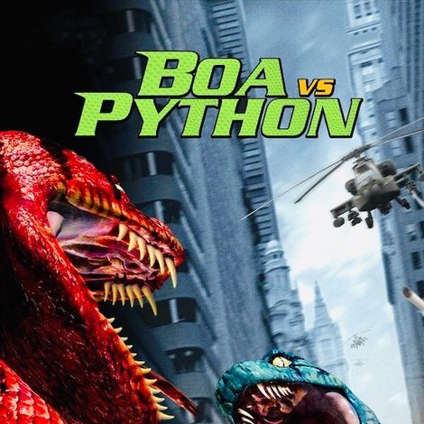 Boa vs. Python