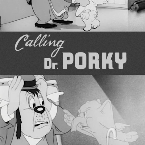 Calling Dr. Porky
