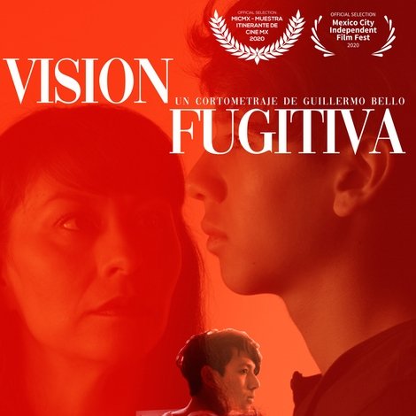 Visión Fugitiva