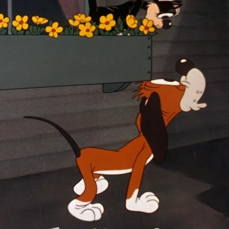 The Hep Cat