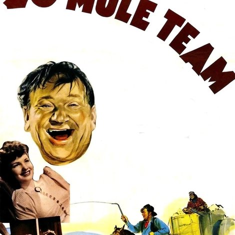 20 Mule Team