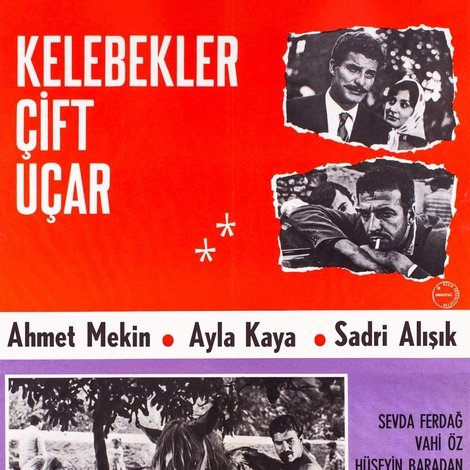 Kelebekler Çift Uçar