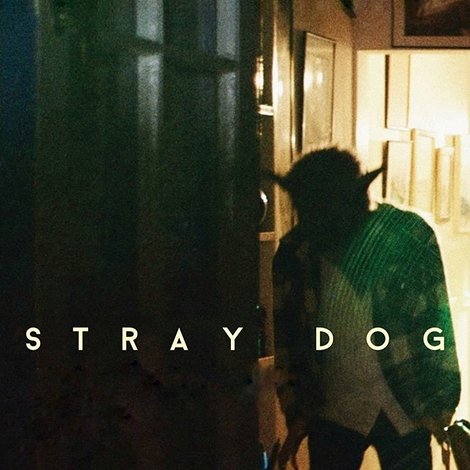 Stray Dog