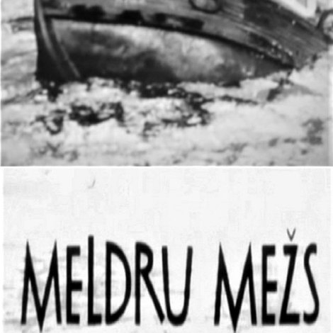 Meldru mežs