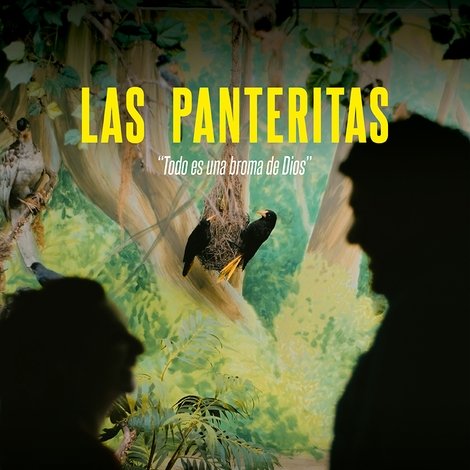 Las panteritas