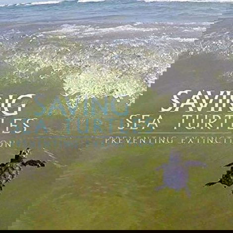 Saving Sea Turtles: Preventing Extinction
