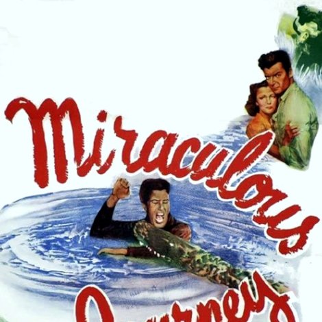 Miraculous Journey