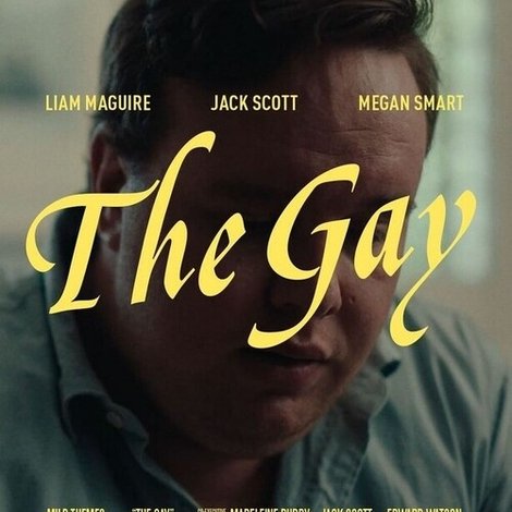 The Gay