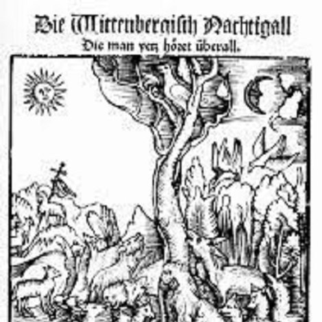 Die Wittenberger Nachtigall