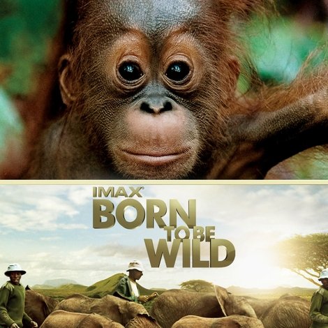 Born to Be Wild