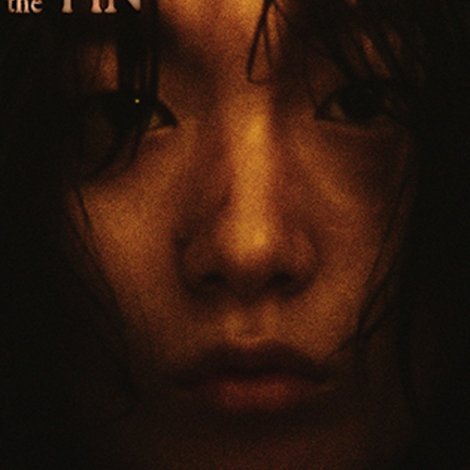지느러미