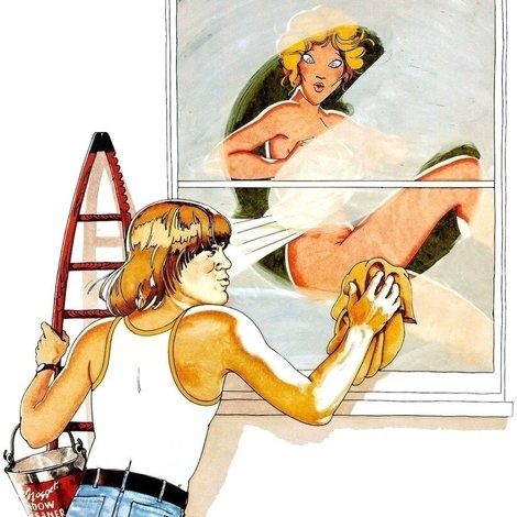 Confessions of a Window Cleaner