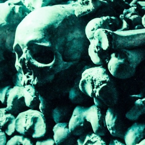 The Black Death: A Plague Upon the World