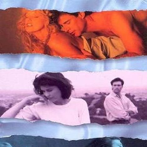 Married People, Single Sex 2: ...For Better or Worse