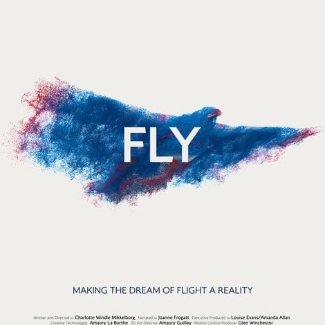 Fly