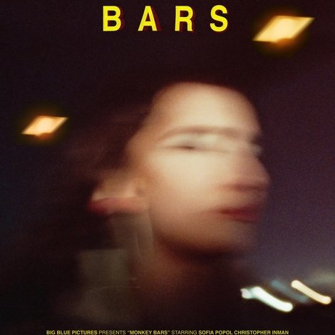 Monkey Bars