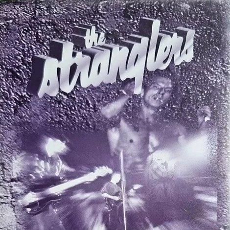 The Stranglers Live At Fontwell Park 1993
