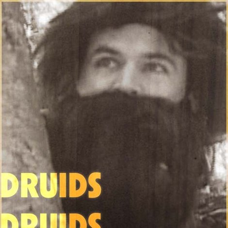 Druids Druids Everywhere