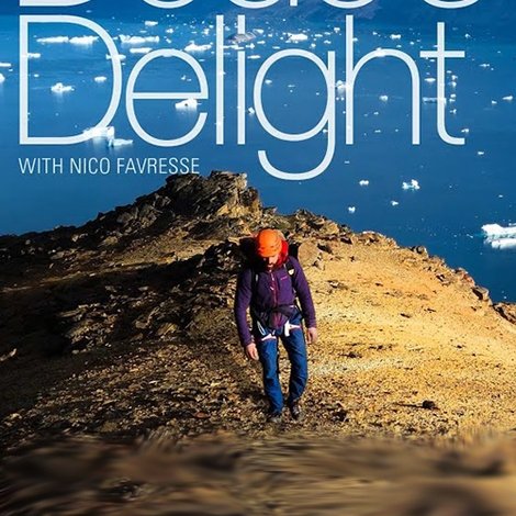 Dodo's Delight - The Adventures Of The Dodo